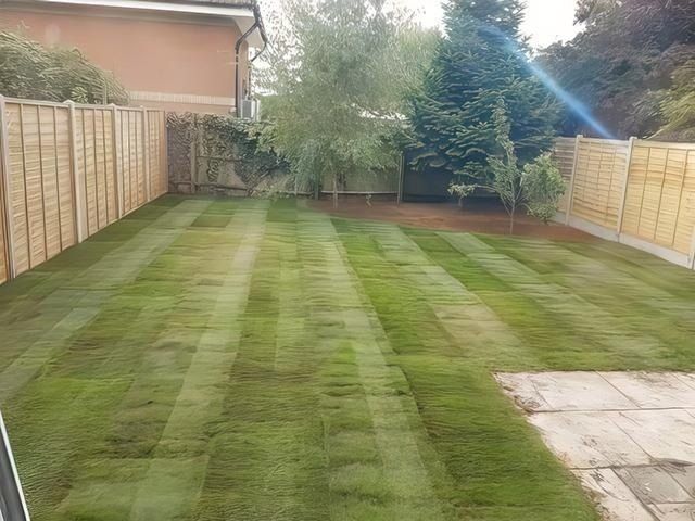 landscaping-4-sharpen-lighting-lighting-color